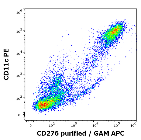 Purified Anti-Human CD276 (7-517)