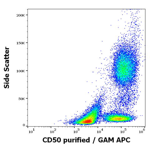 Purified Anti-Human CD50 (MEM-04)