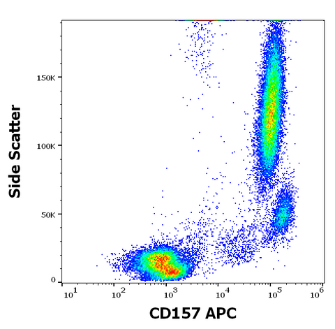 APC Anti-Human CD157 (Bst-1) (SY11B5)