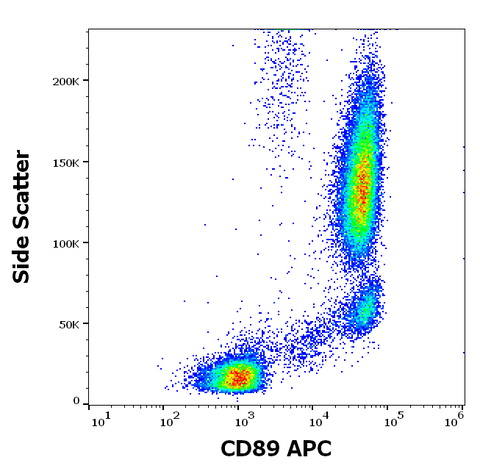APC Anti-Human CD89 (A59)