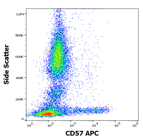 APC Anti-Human CD57 (TB01)