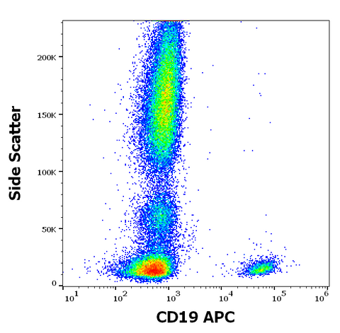 APC Anti-Human CD19 (LT19)