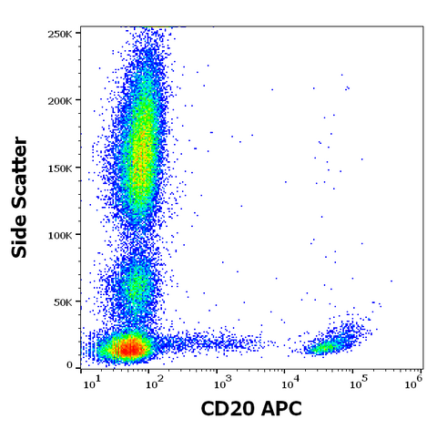 APC Anti-Human CD20 (LT20)
