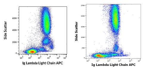 APC Anti-Human Ig Lambda (4C2)