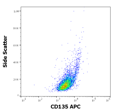 APC Anti-Human CD135 (FLT3) (BV10A4)
