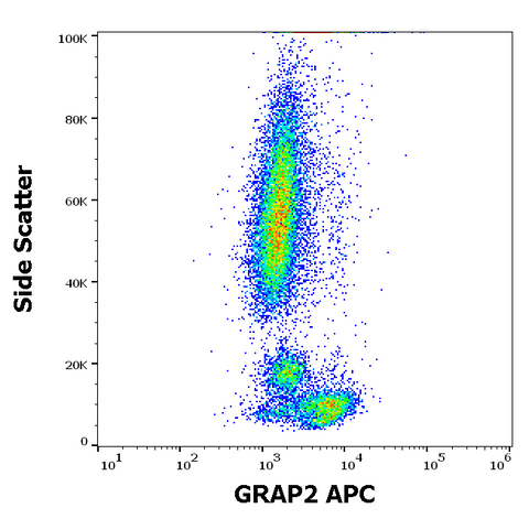 APC Anti-Human GRAP2 (UW40)