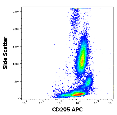 APC Anti-Human CD205 (HD30)