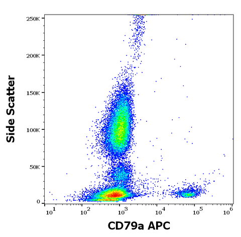 APC Anti-Human CD79a (HM47)