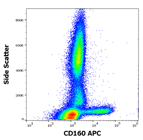 APC Anti-Human CD160 (NK1) (BY55)