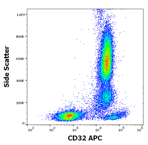 APC Anti-Human CD32 (3D3)
