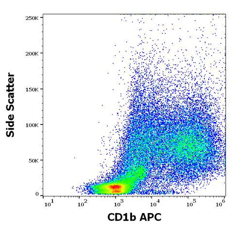 APC Anti-Human CD1b (SN13)