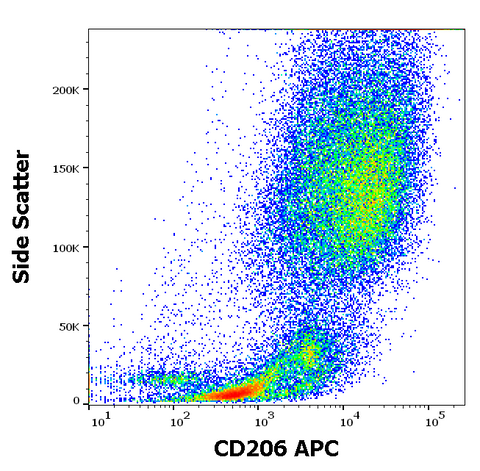 APC Anti-Human CD206 (15-2)