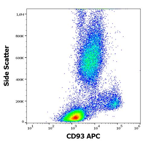 APC Anti-Human CD93 (VIMD2)