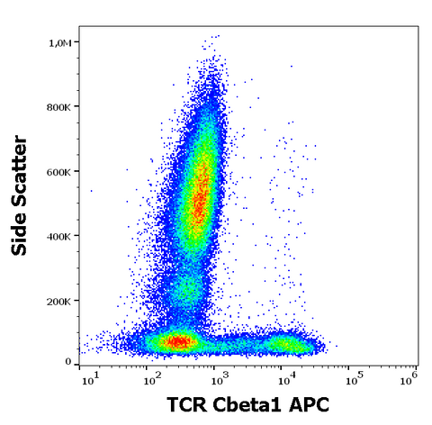 APC Anti-Human TCR Cβ1 (JOVI.1)