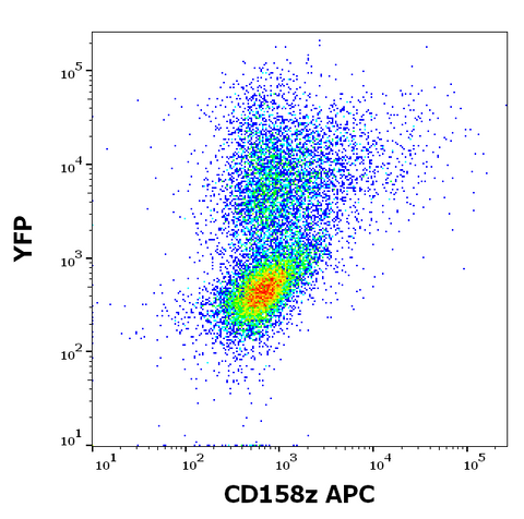 APC Anti-Human CD158z (CH21)