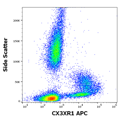 APC Anti-Human CX3CR1 (2A9-1)