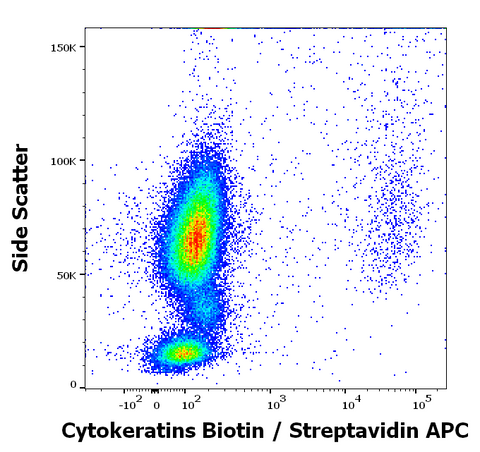 Biotin Anti-Mammal Cytokeratin, Pan (C11)