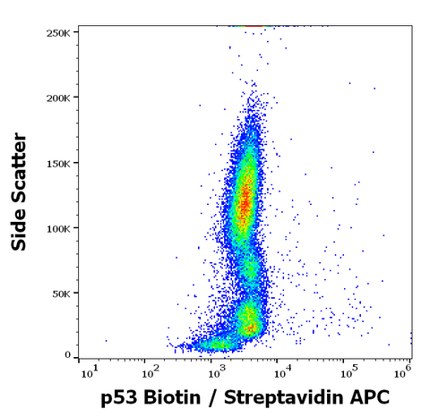 Biotin Anti-Human P53 (BP53-12)