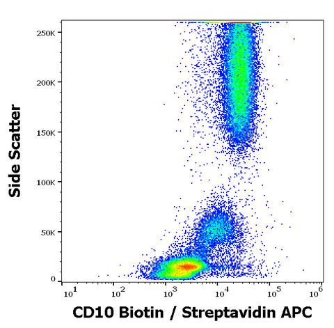 Biotin Anti-Human CD10 (MEM-78)