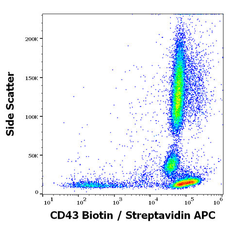Biotin Anti-Human CD43 (MEM-59)