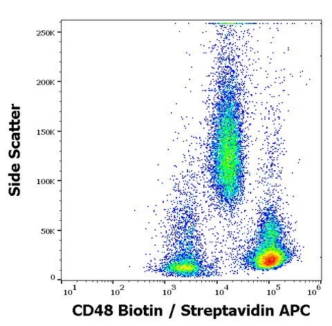 Biotin Anti-Human CD48 (MEM-102)