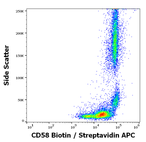 Biotin Anti-Human CD58 (MEM-63)