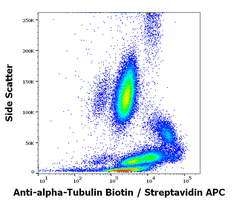 Biotin Anti-Human/Mouse Alpha Tubulin (TU-01)