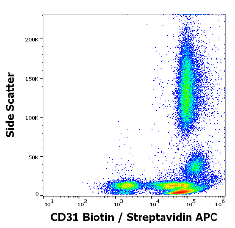 Biotin Anti-Human CD31 (MEM-05)