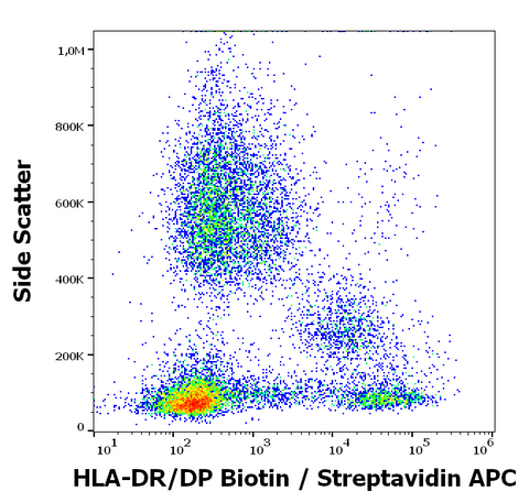 Biotin Anti-Human MHC Class II (HLA-DR, DP) (MEM-136)