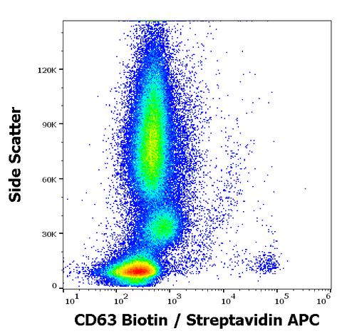 Biotin Anti-Human CD63 (MEM-259)
