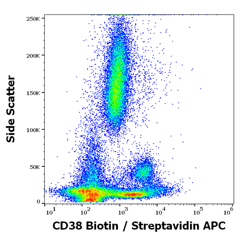 Biotin Anti-Human CD38 (HIT2)
