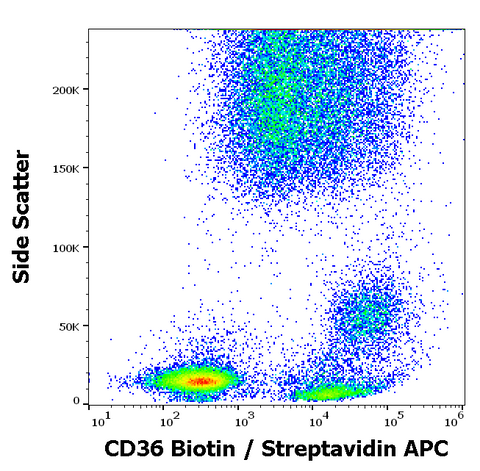 Biotin Anti-Human CD36 (TR9)