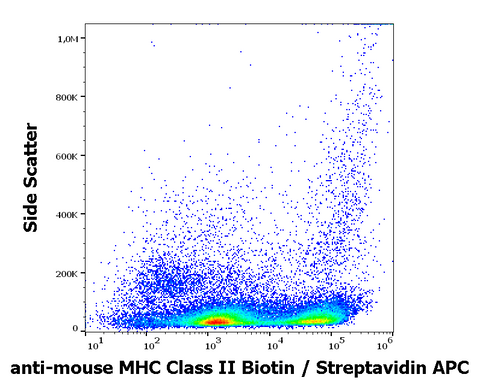 Biotin Anti-Mouse MHC Class II (I-A/I-E) (M5/114)