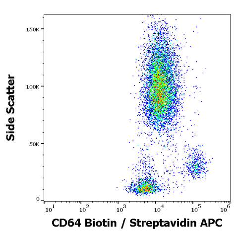 Biotin Anti-Human CD64 (10.1)