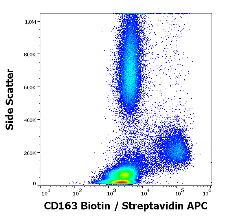 Biotin Anti-Human CD163 (GHI/61)