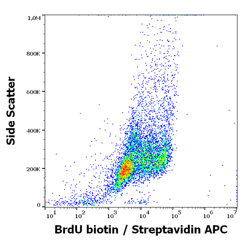 Biotin Anti-BrdU (BU20A)