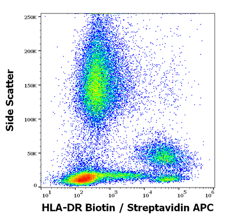 Biotin Anti-Human HLA-DR (L243)