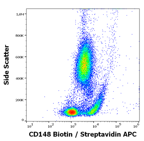 Biotin Anti-Human CD148 (MEM-CD148/05)