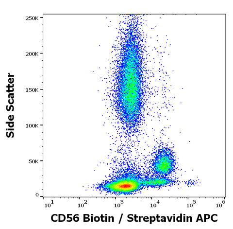 Biotin Anti-Human CD56 (LT56)