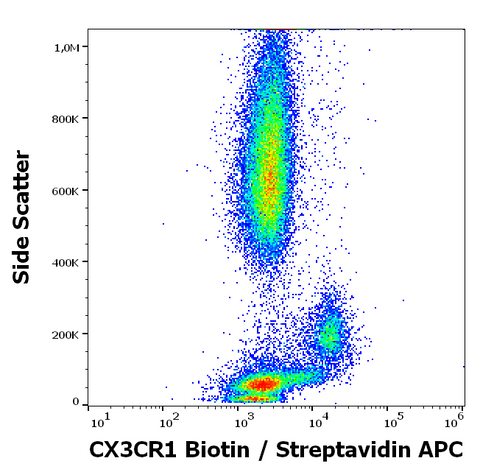 Biotin Anti-Human CX3CR1 (2A9-1)
