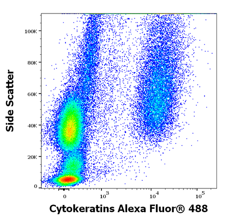 FITC Anti-Mammal Cytokeratin, Pan (C11)