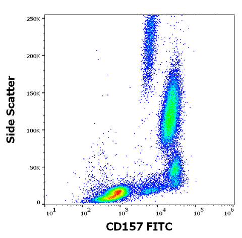 FITC Anti-Human CD157 (Bst-1) (SY11B5)