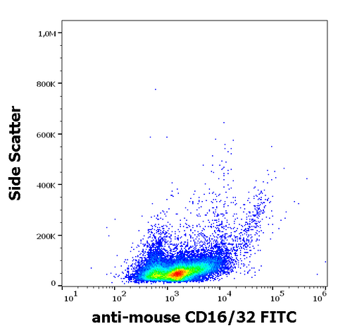 FITC Anti-Mouse CD16 / CD32 (93)
