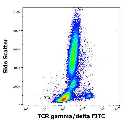 FITC Anti-Human TCR γ/δ (B1)