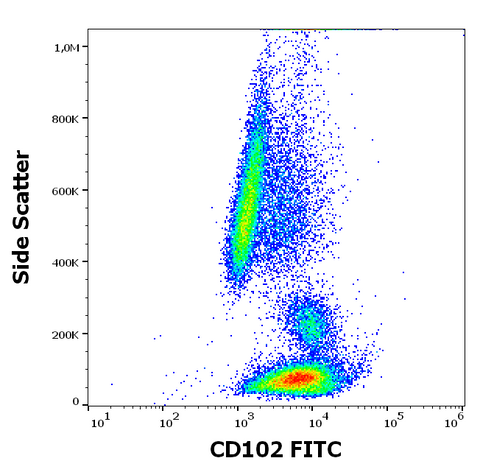 FITC Anti-Human CD102 (ICAM-2) (CBR-IC2/2)