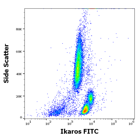 FITC Anti-Human/Mouse IKAROS (4E9)