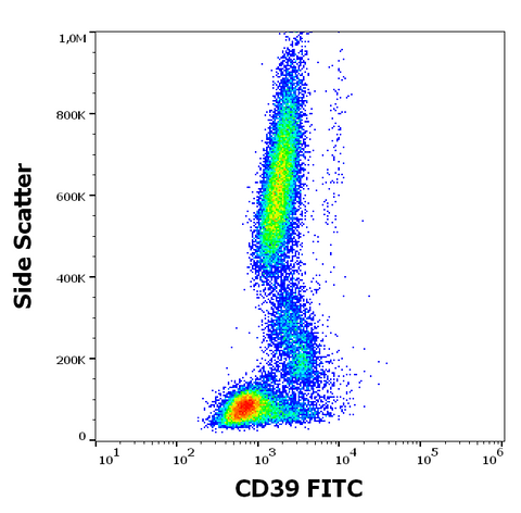 FITC Anti-Human CD39 (TU66)