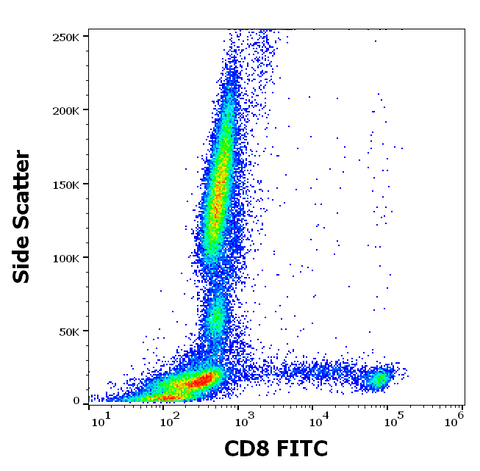 FITC Anti-Human CD8 (MEM-31)