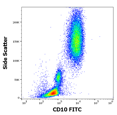 FITC Anti-Human CD10 (MEM-78)