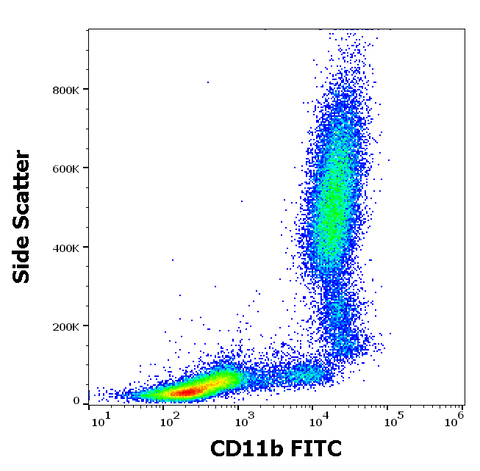 FITC Anti-Human CD11b (MEM-174)